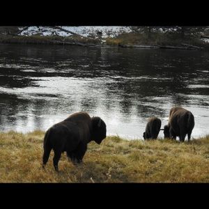 Meet your Posher, Carol